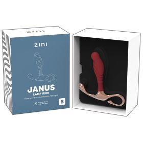 Zini Janus Lamp Iron (Option: Bordeaux Small)